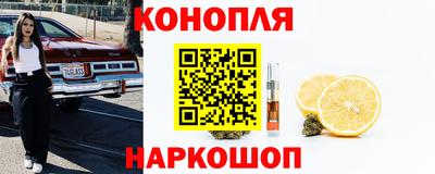 шишки Шахты