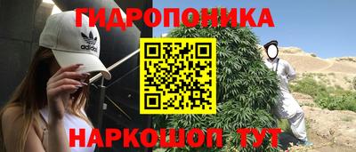 молекула духа Шелехов