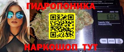 шишки Шахты